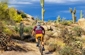 mountain_bike_sonoran_desert