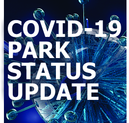 COVID-19-250x250