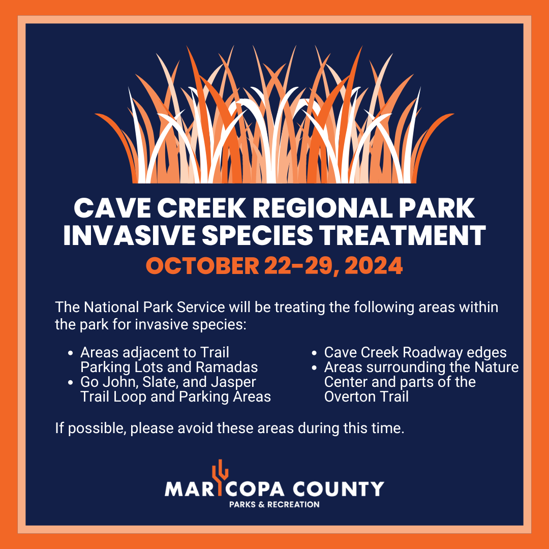 Fall_2024_Cave_Creek_Regional_Park_-_Invasive_Species_Treatment