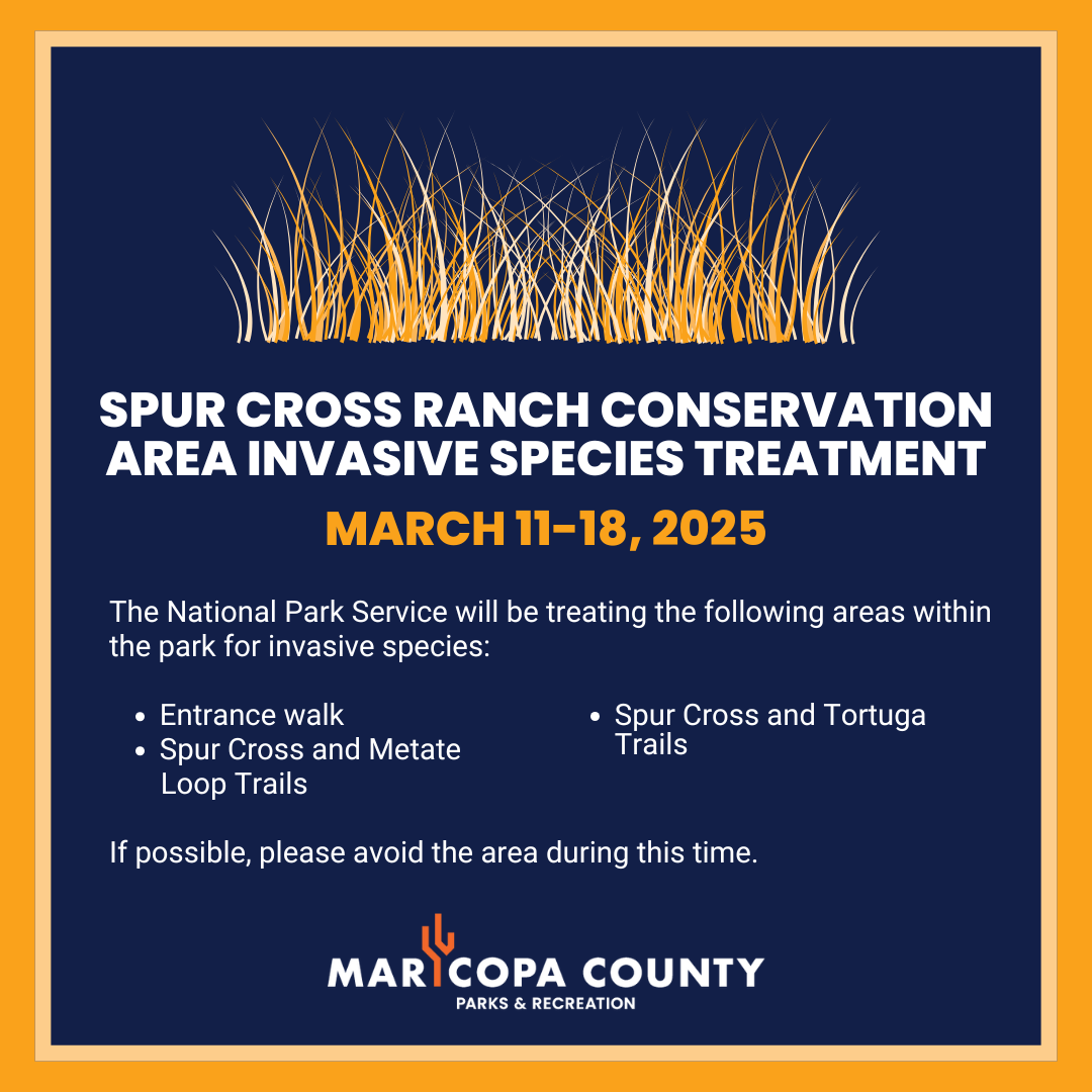 Fall_Spur_Cross__-_Invasive_Species_Treatment-March2025