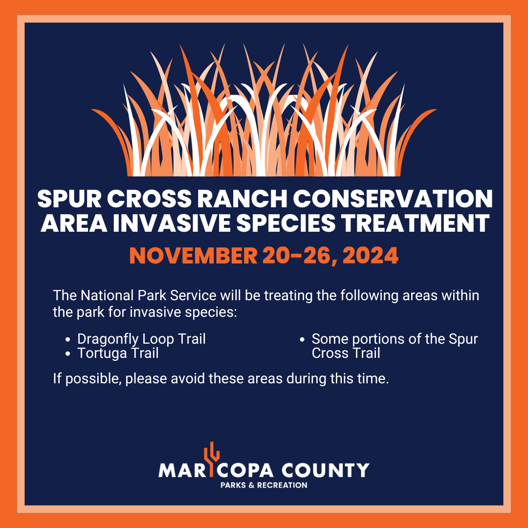 Fall_Spur_Cross__-_Invasive_Species_Treatment