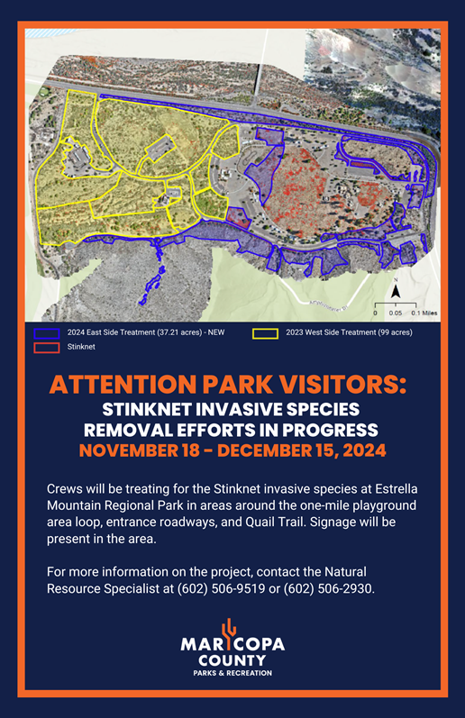 2024_-_Estrella_-_Invasive_Species_(Stinknet)_Removal